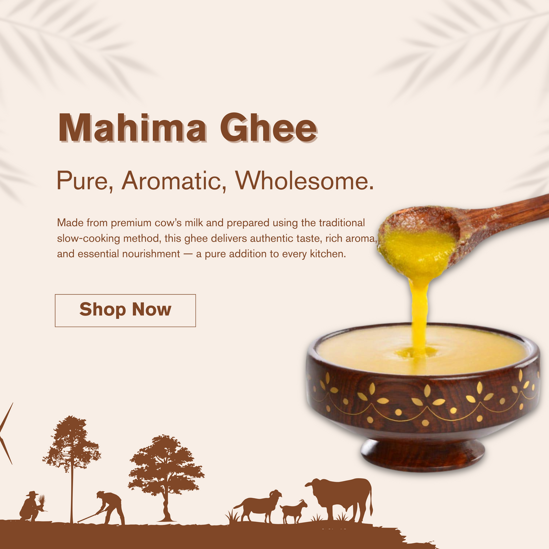 pure-aromatic-mahima-ghee